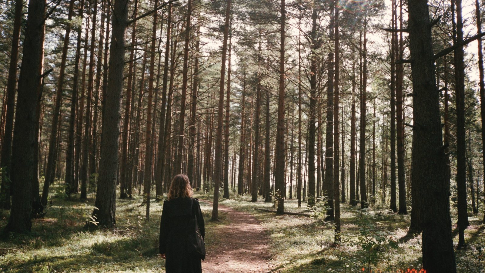 Woman walking on forest path
