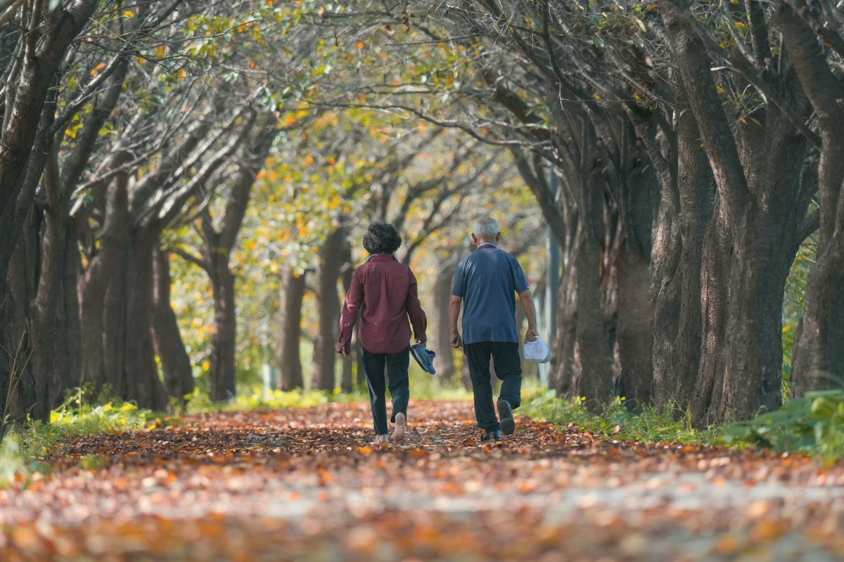 Elderly woman and man walking among trees in autumn